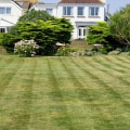 All you need to know about Lawn Care and Landscaping