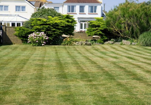 All you need to know about Lawn Care and Landscaping