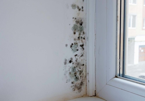 Addressing Water Damage and Mold: Tips for Property Management